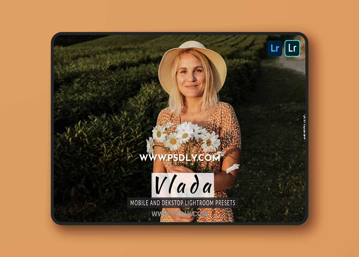 Vlada Lightroom Presets Dekstop and Mobile
