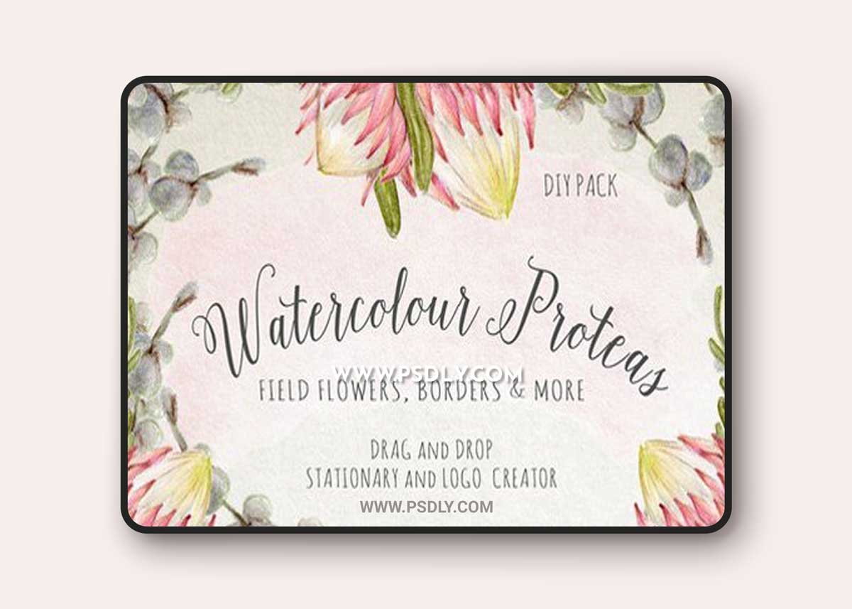 Watercolour Protea Flower DIY Pack