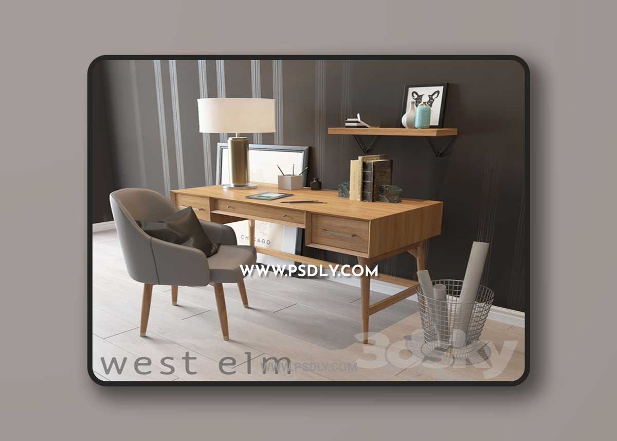 West Elm Mid-Century Desk