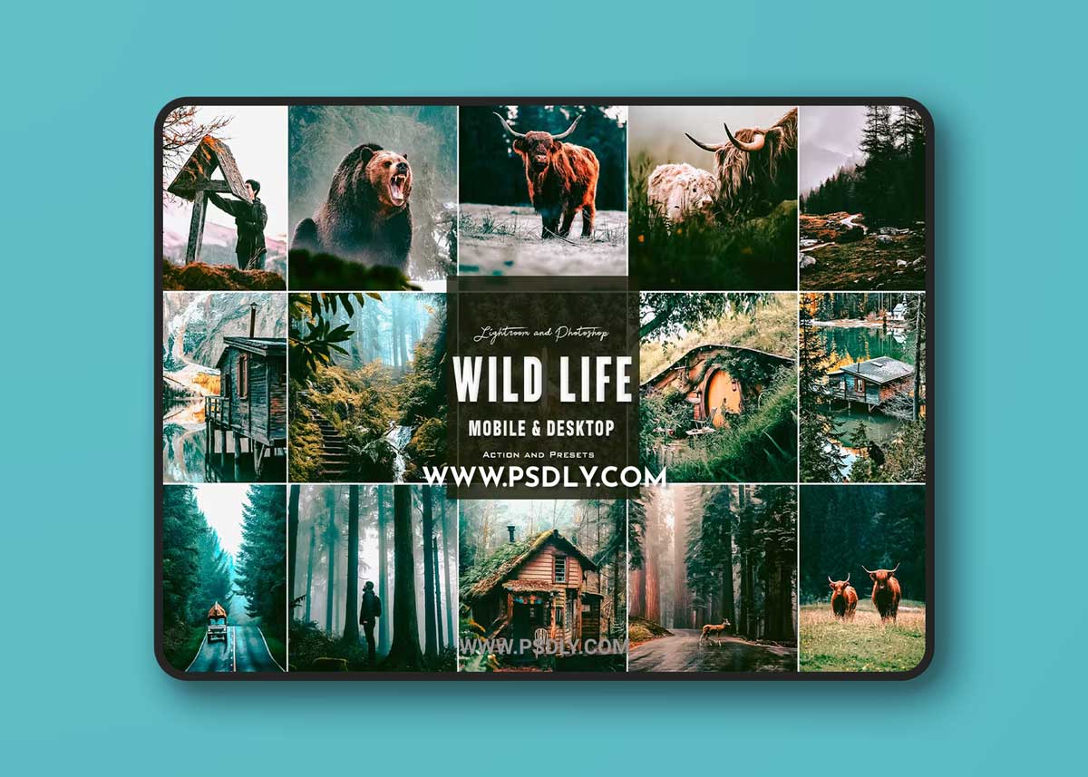 Wild Life - Photoshop Actions & Lightroom Presets