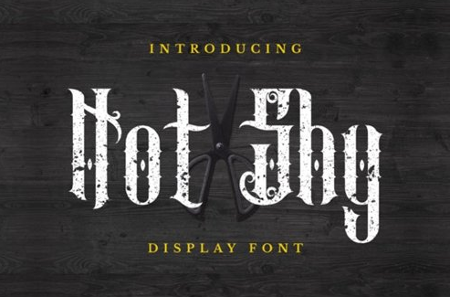 Not Shy Font