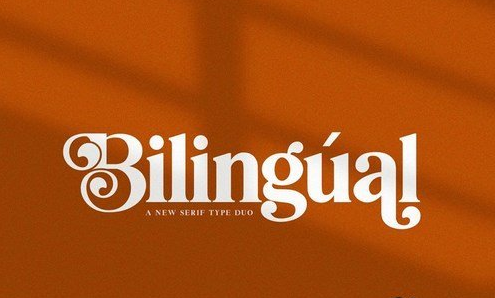 Bilingual Serif Font Duo 4585362