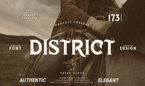District Vintage Serif