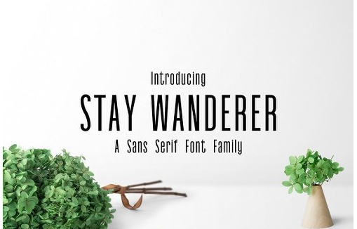 Stay Wanderer 3 Font Family Pack 1872626