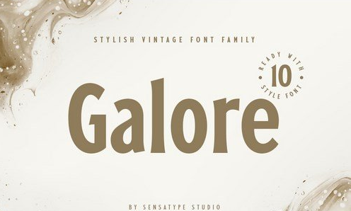 Galore - Stylish Vintage Font Family