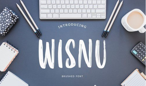 Wisnu Brush Font 5302286