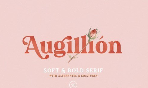 Augillion - Soft Bold Serif 4931810