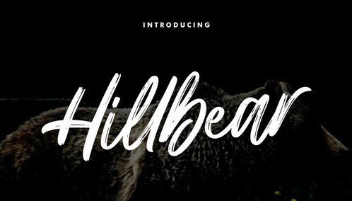 Hillbear - Handbrush Script Font 4271636