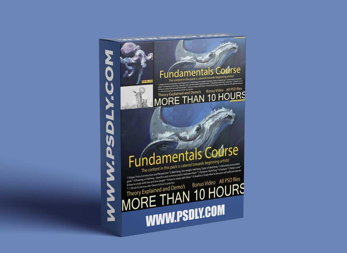 Artstation - Fundamentals Course - A guide for starters in art