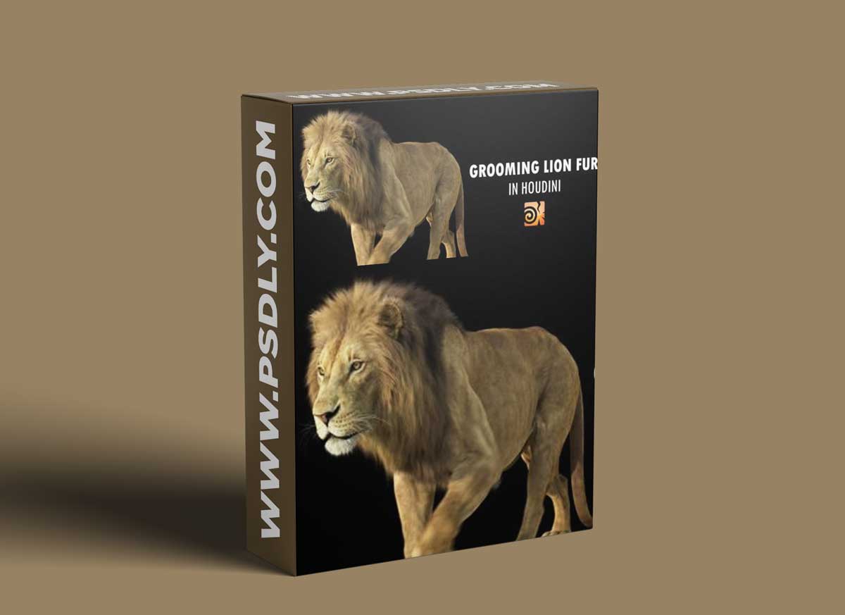 CGCircuit - Grooming Lion Fur in Houdini