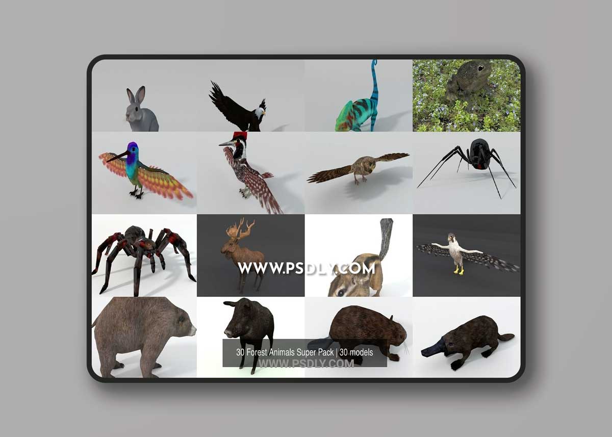 CGTrader - 30 Forest Animals Super Pack 3D Model Collection
