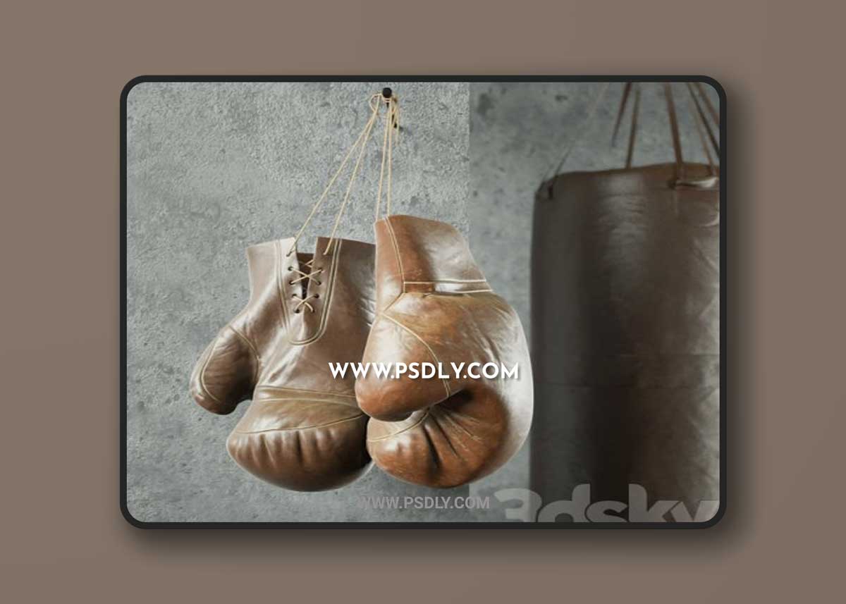 Champion (Boxing equipment)