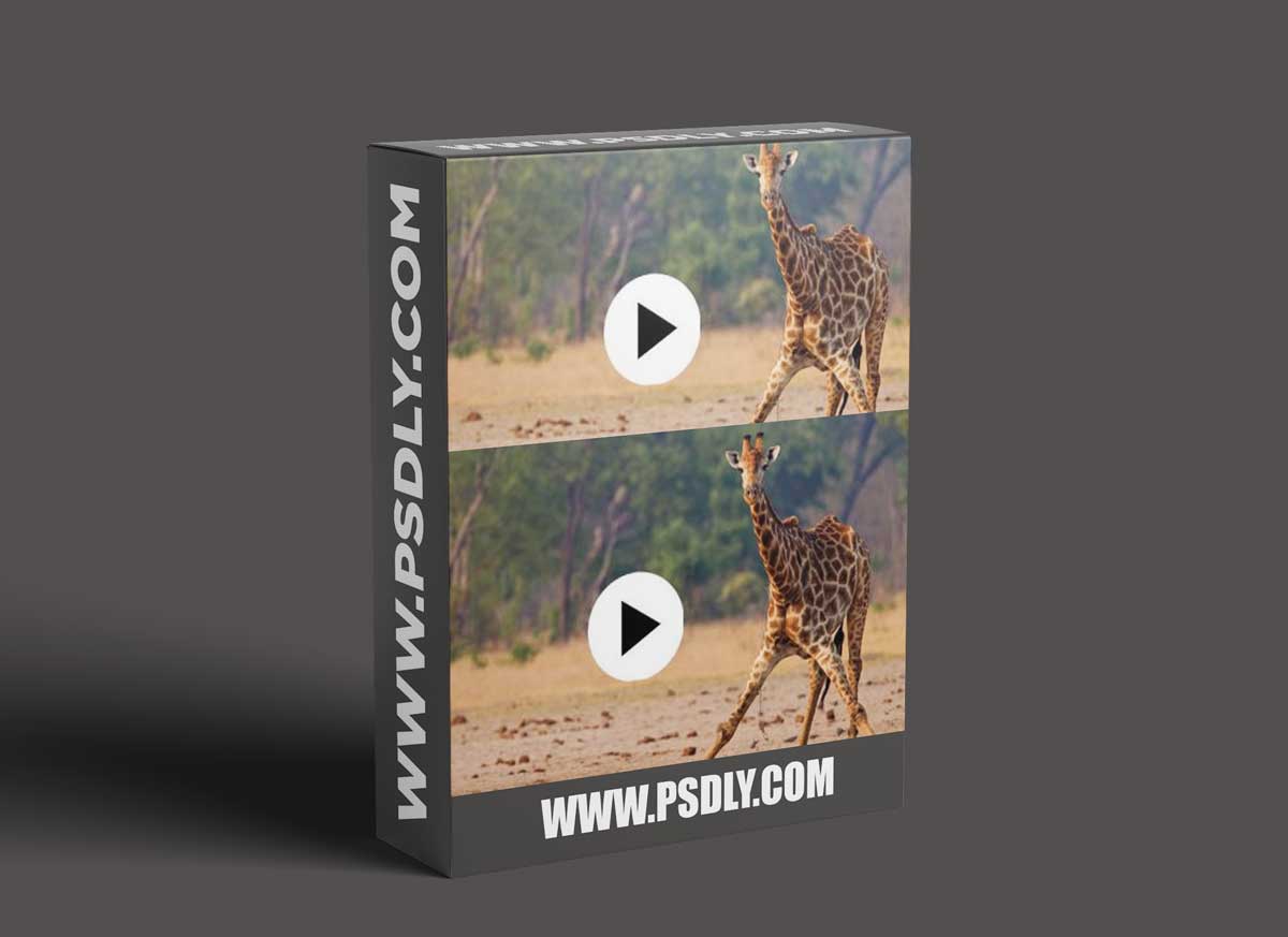 CreativeLive - Warp, Blend, Liquify in Adobe Photoshop 2020