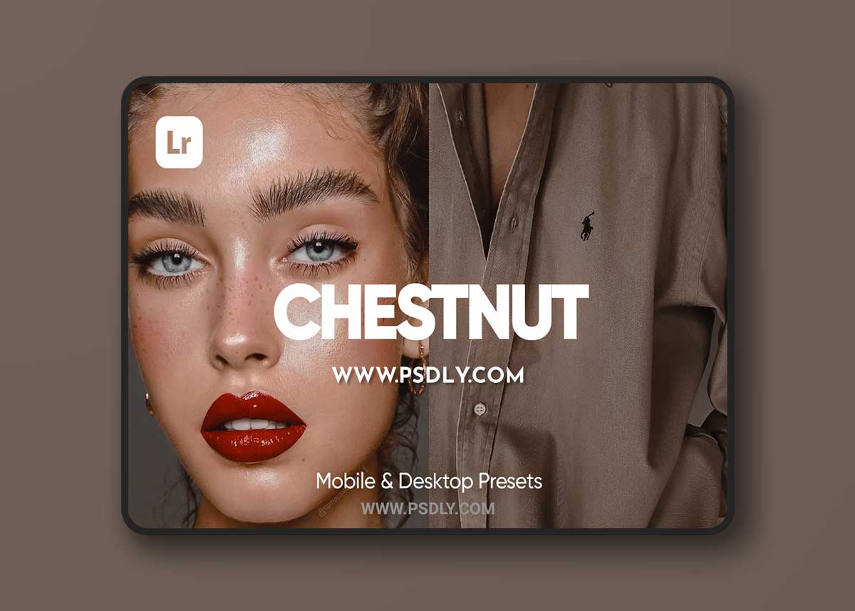 CreativeMarket - 6 CHESTNUT LIGHTROOM PRESETS 6734081