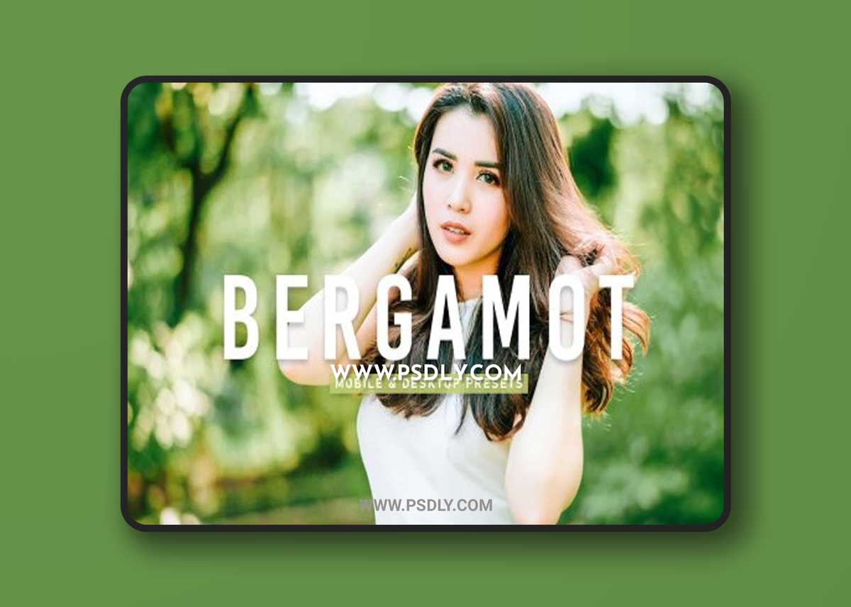 CreativeMarket - Bergamot Pro Lightroom Presets 6925579