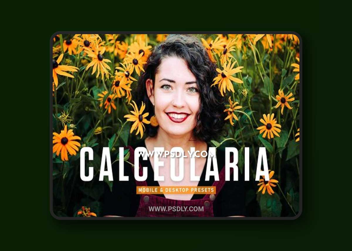 CreativeMarket - Calceolaria Pro Lightroom Presets 6926787