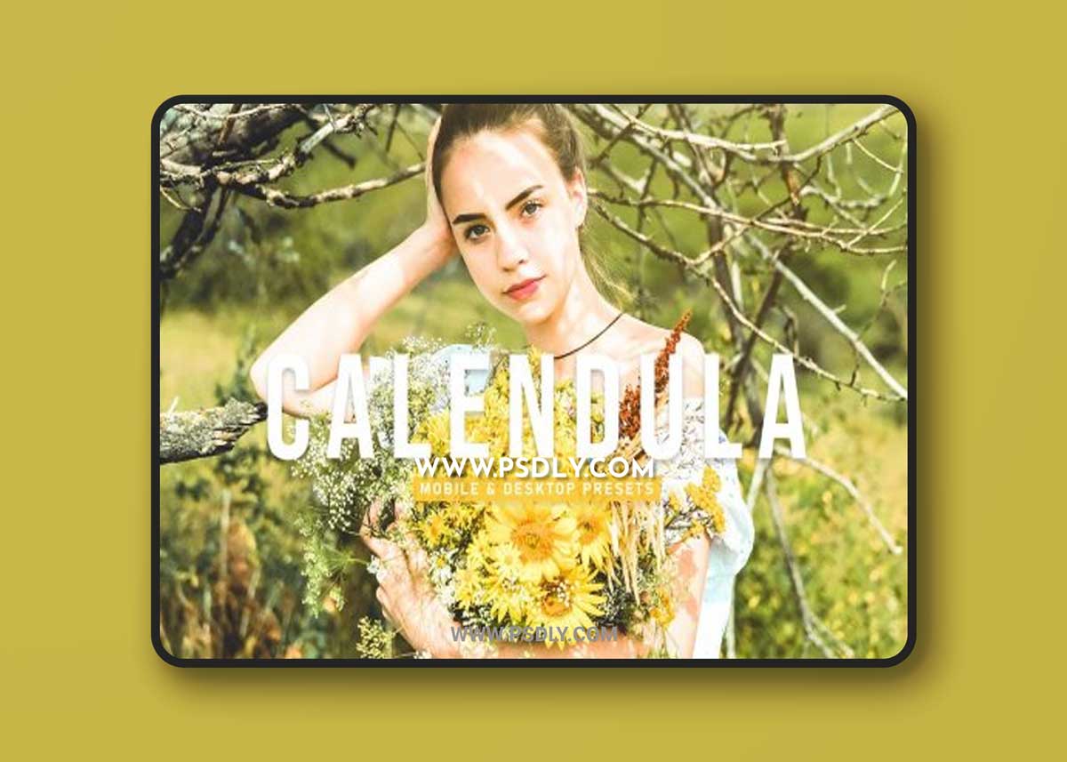 CreativeMarket - Calendula Pro Lightroom Presets 6926792
