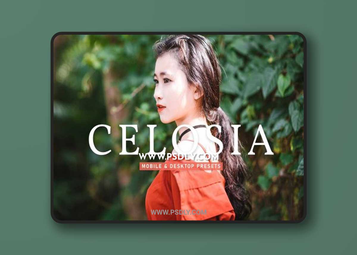 CreativeMarket - Celosia Pro Lightroom Presets 6926806