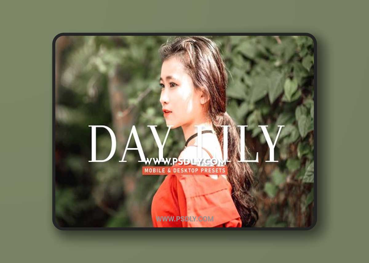 CreativeMarket - Day Lily Pro Lightroom Presets 6929656