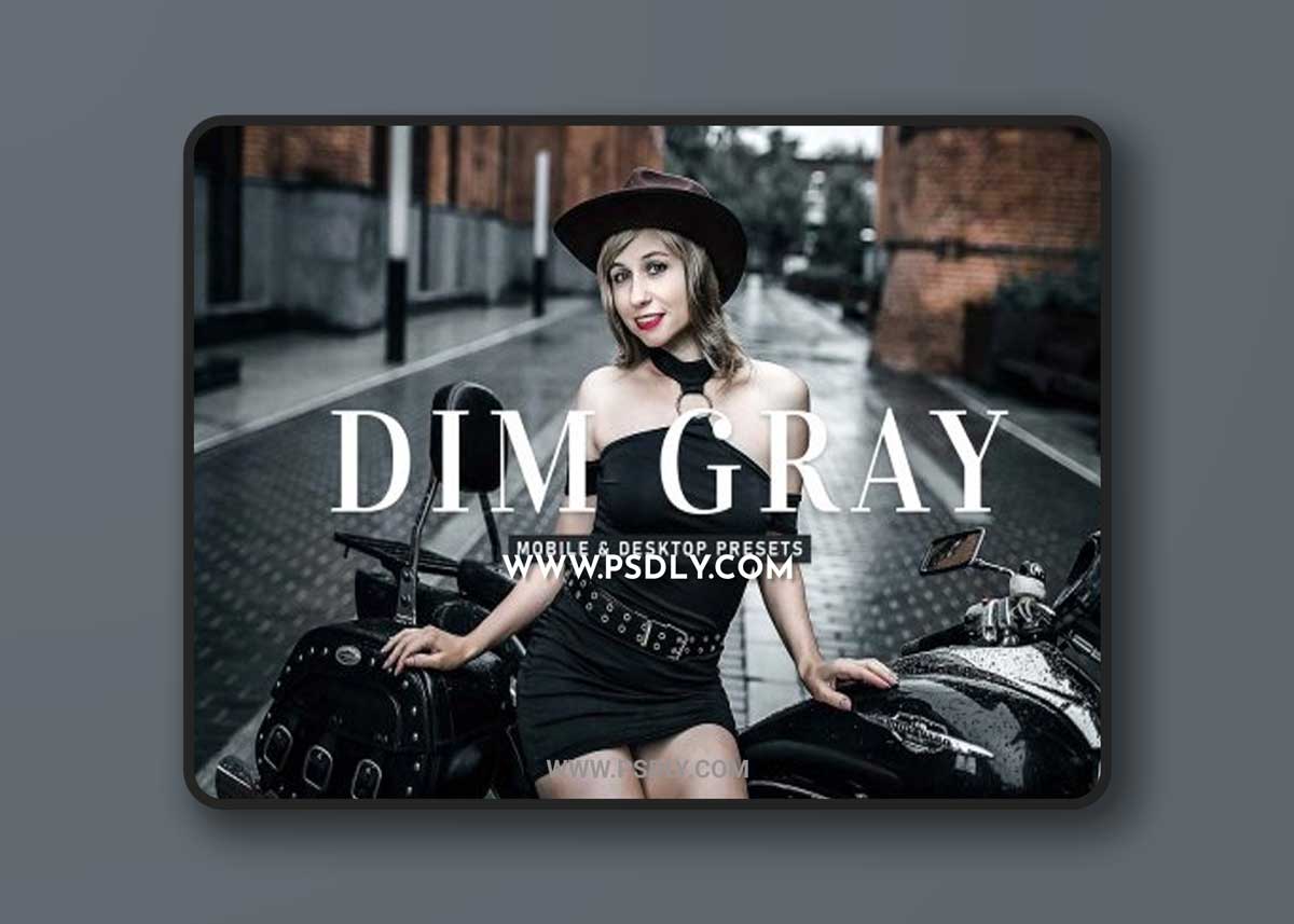CreativeMarket - Dim Gray Pro Lightroom Presets 6929668