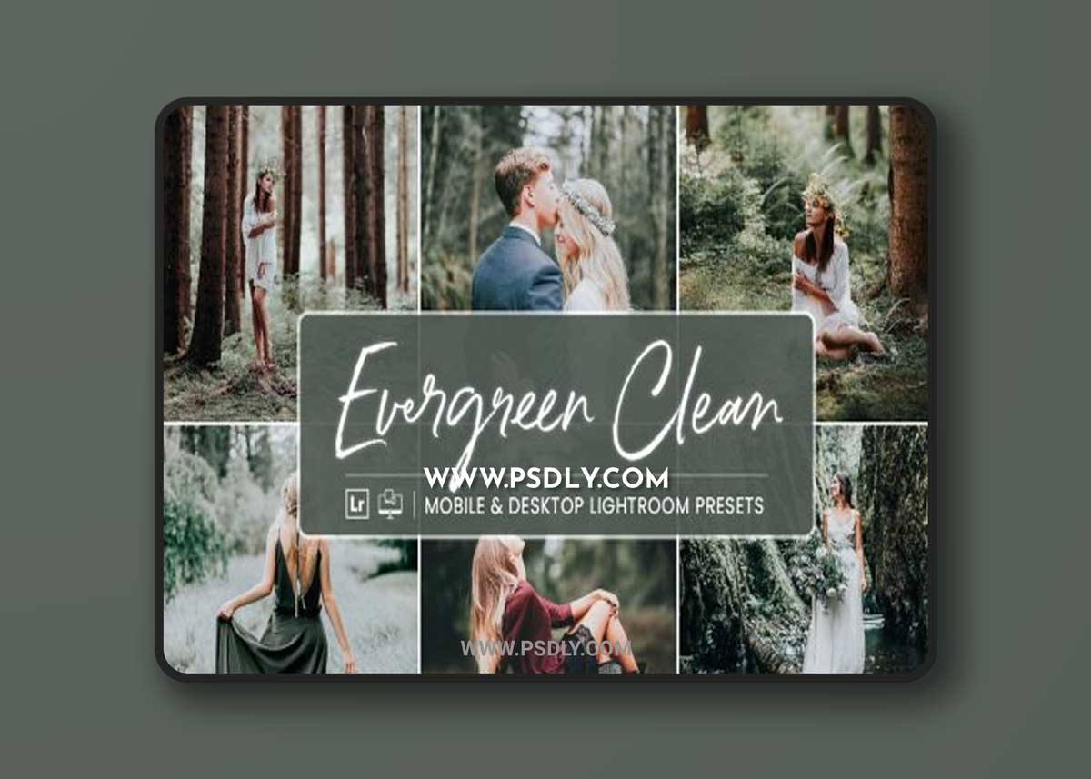 CreativeMarket - Lightroom Presets Evergreen Clean 4412831