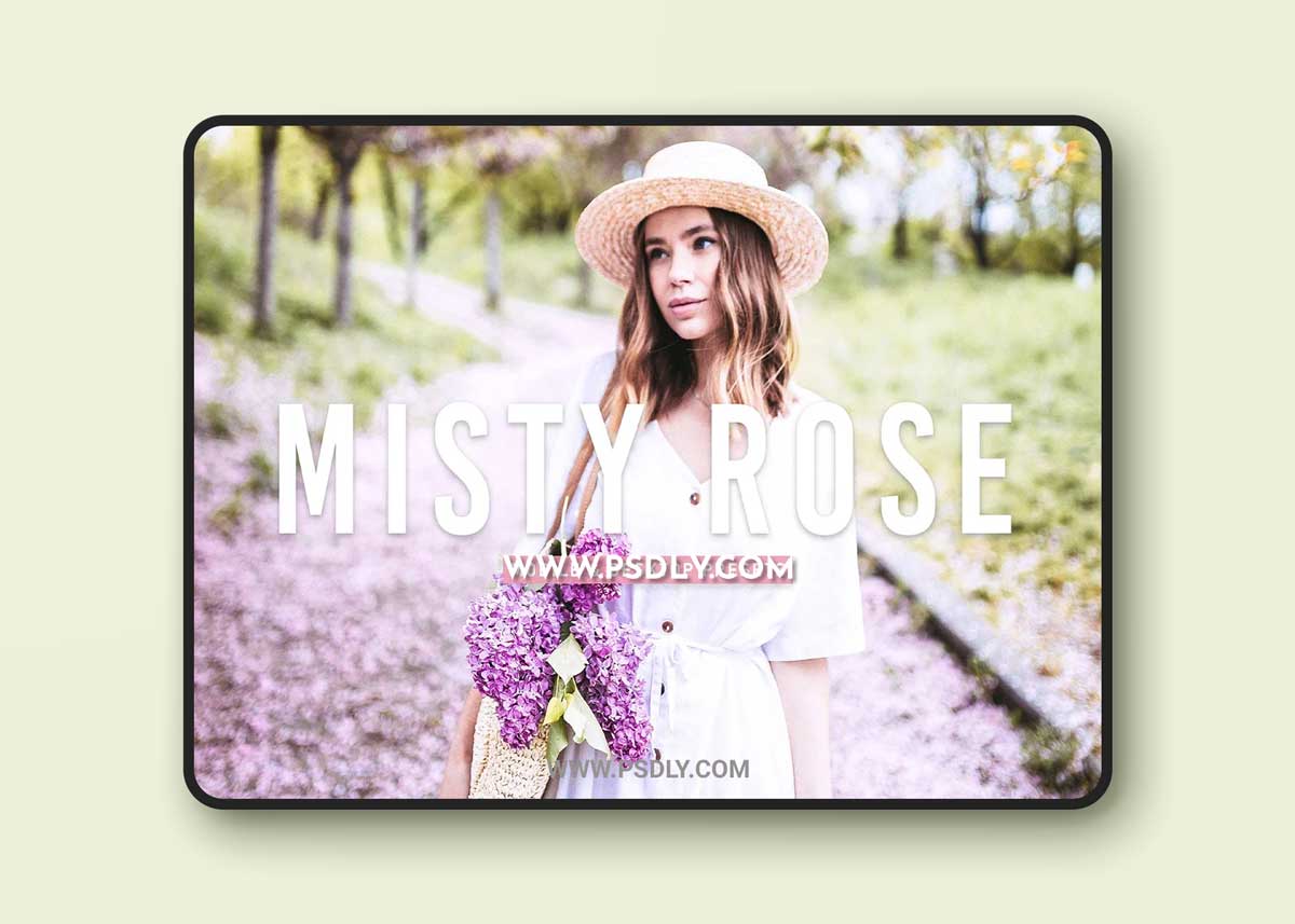 CreativeMarket - Misty Rose Pro Lightroom Presets V2 6924890