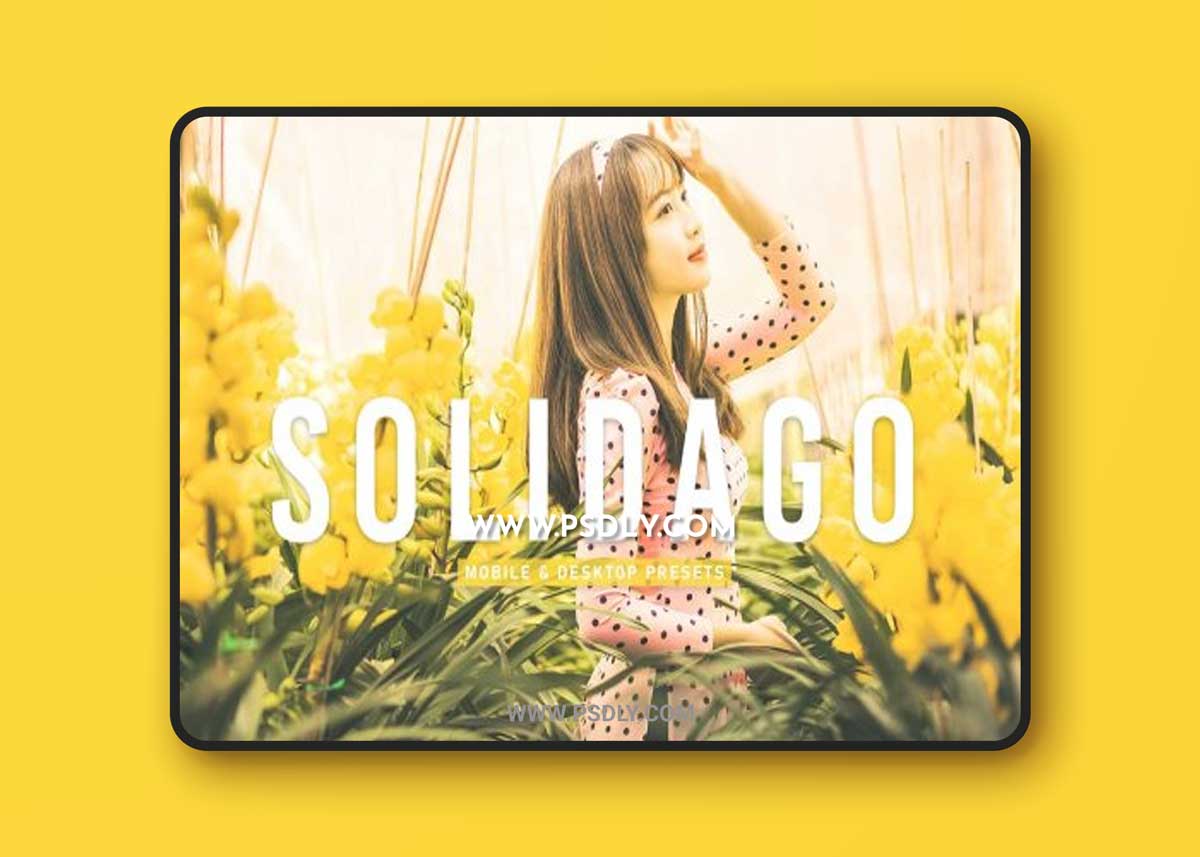 CreativeMarket - Solidago Pro Lightroom Presets 6924921