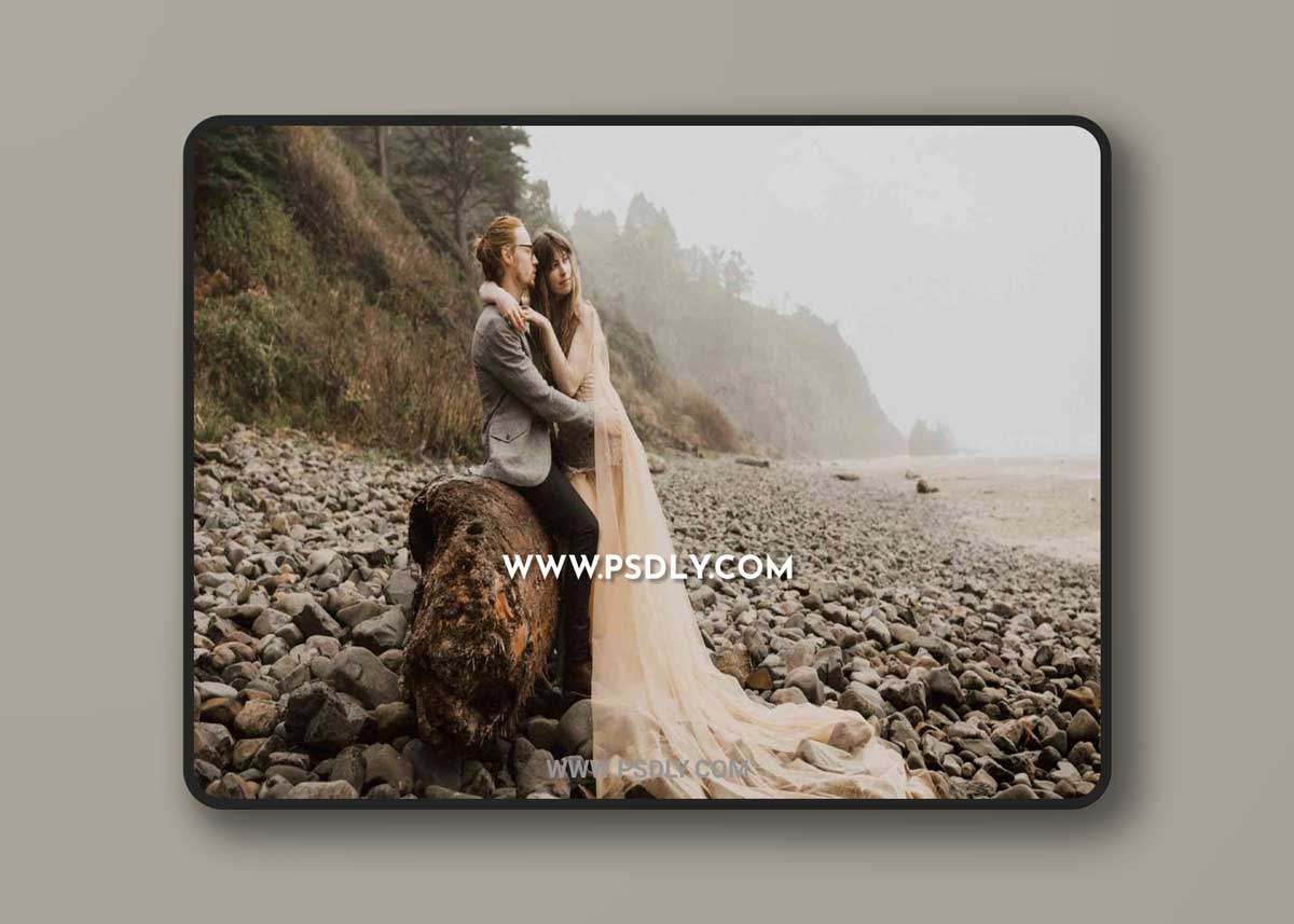 DVLOP - India Earl - Honey Presets