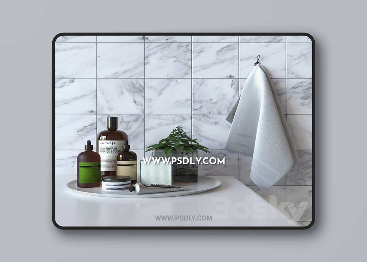 Decoration set for bathroom AESOP 3D Model