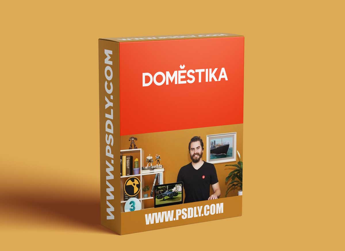 Domestika - Integration of 3D Elements in Real Environments