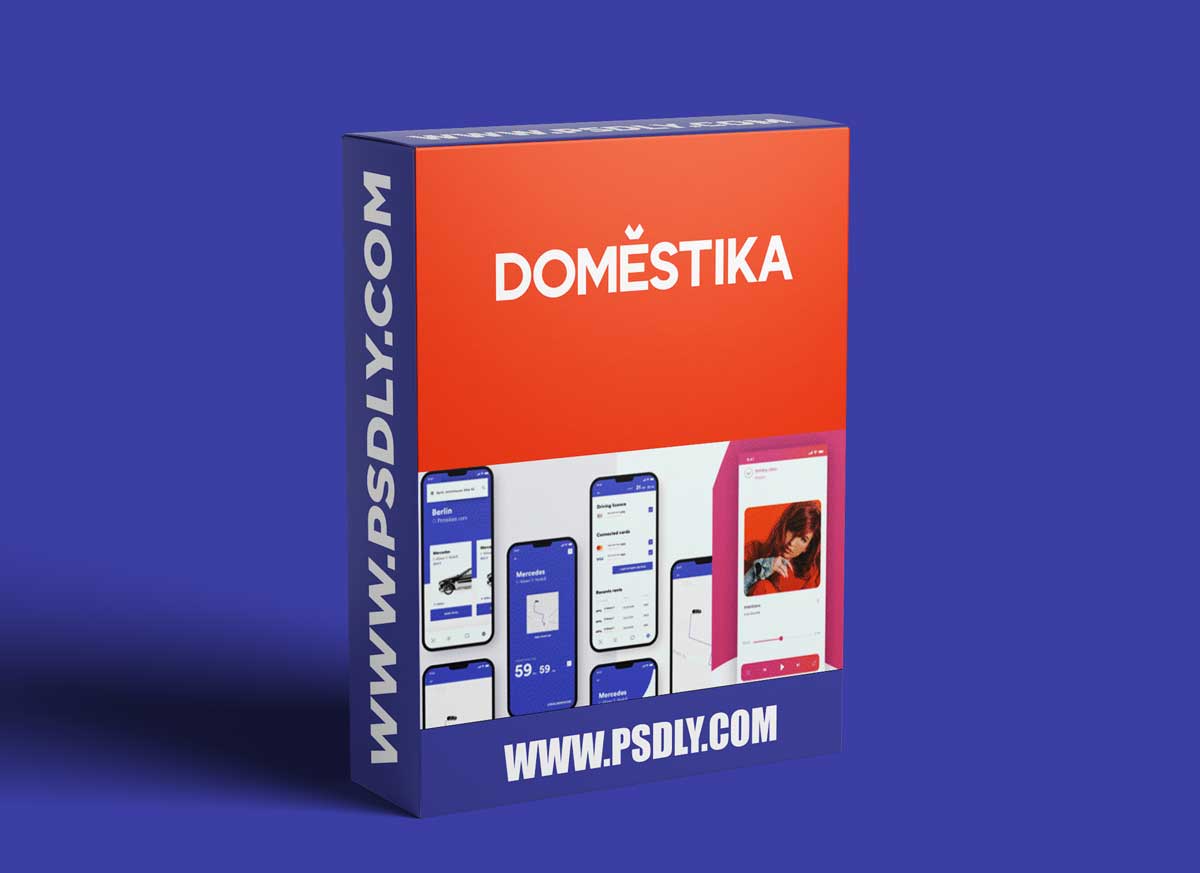 Domestika - UX Research 101