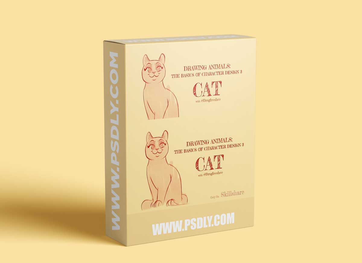 Drawing Animals: The Basics of Character Design 3 | Cat