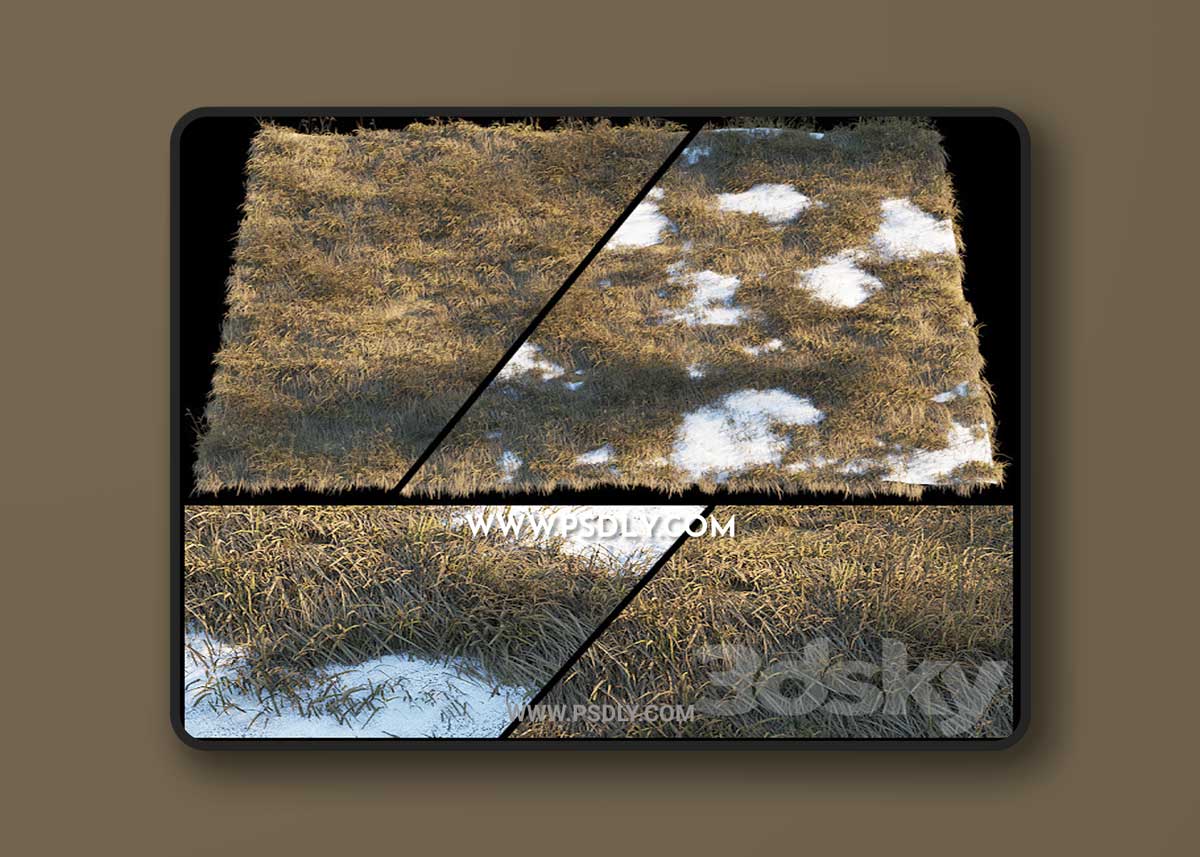 Dry grass | Thaw pollen 3D Model