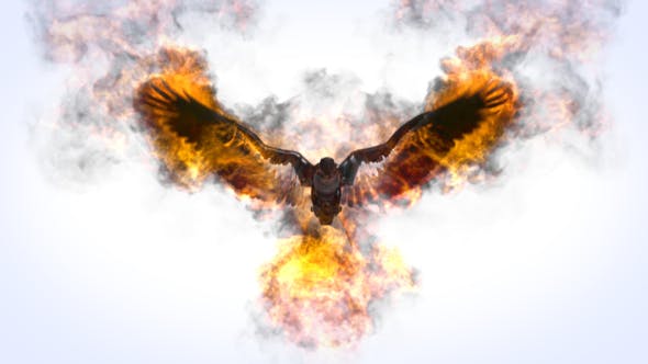 Videohive Flaming Eagle Logo Reveal 31914514