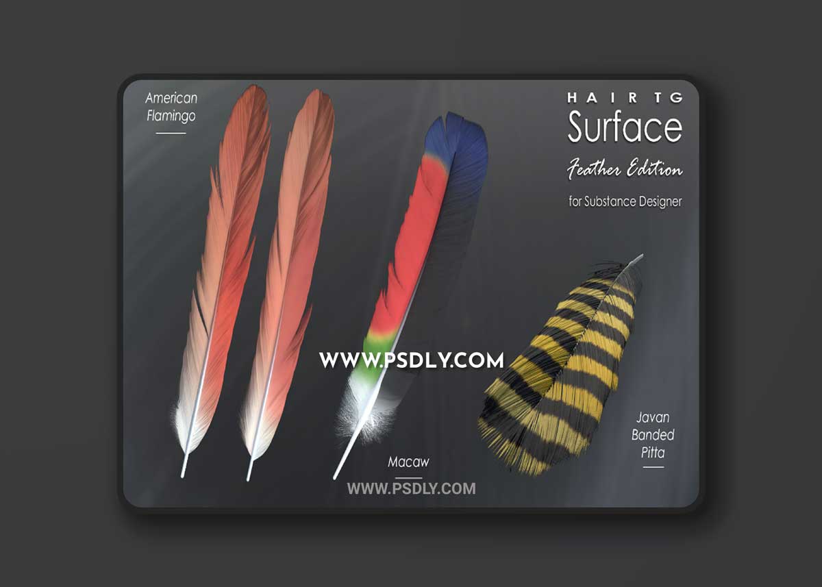 HairTG - Surface, Feather Edition for Substance Designer