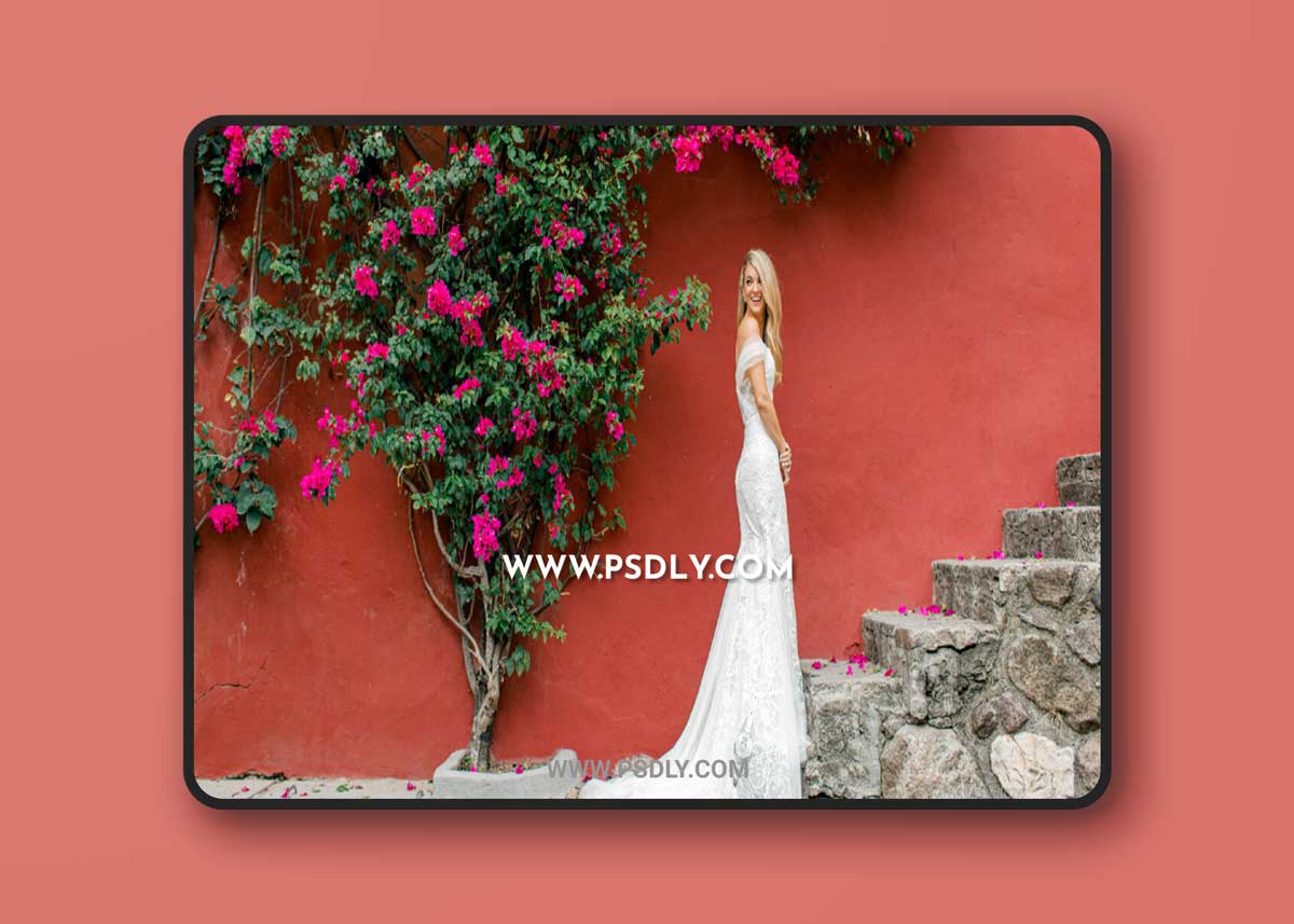 Kindred – Custom Profile Collection