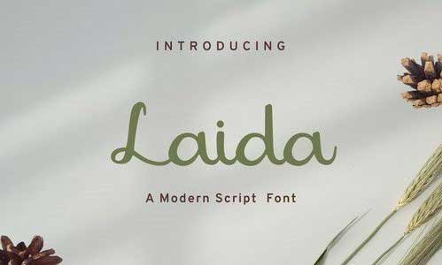 Laida - Modern script