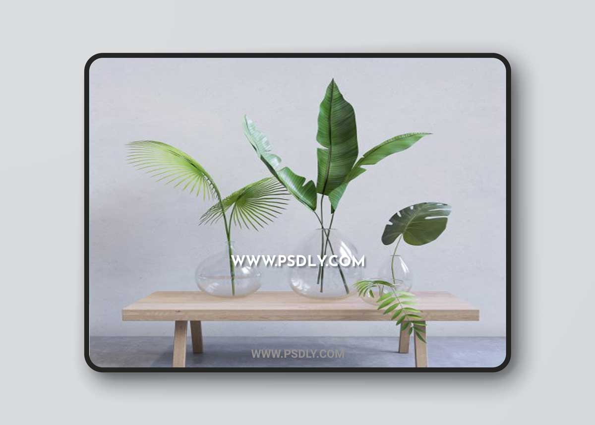 Palm plants 3D Model