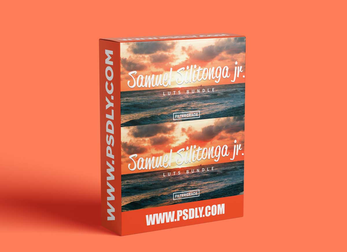 SAMUEL SILITONGA JR. VIDEO LUTS