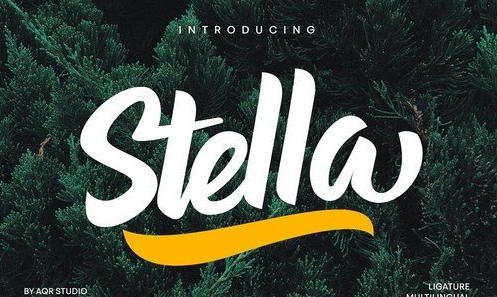CM - STELLA TYPEFACE 4086557