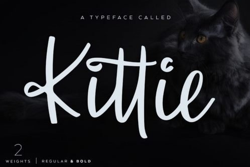 Kittie | Regular & Bold 2905929