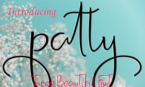 Patty Font Family - 3 Fonts