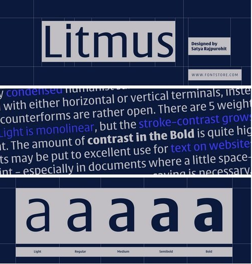 Litmus Font Family - 5 Fonts