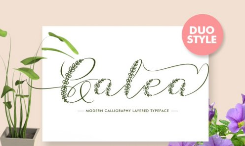 Galea Script Font Family - 2 Fonts