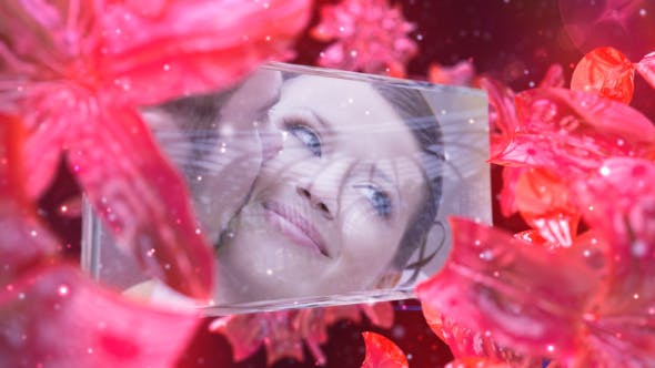 Videohive Wedding Fairy 5251521