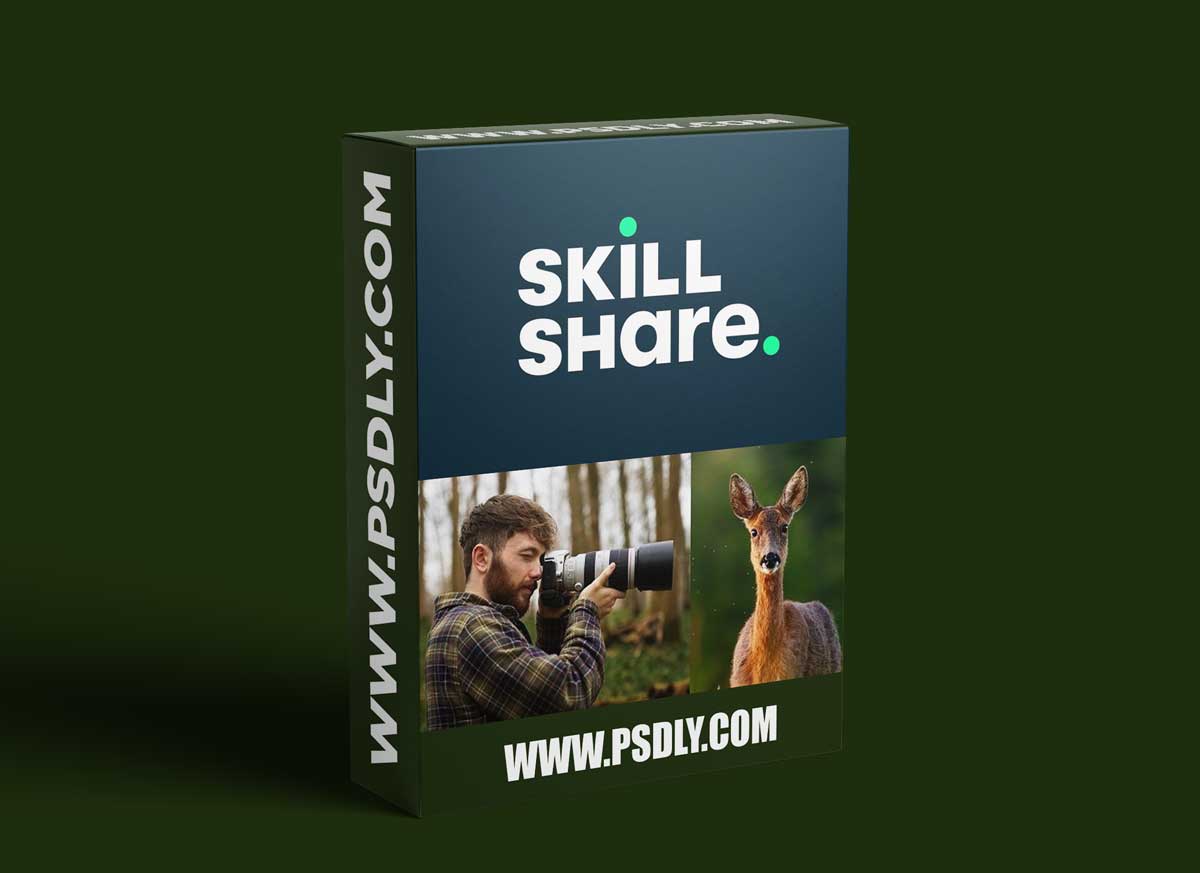 Wildlife Photography: How to Take Captivating Animal Portraits