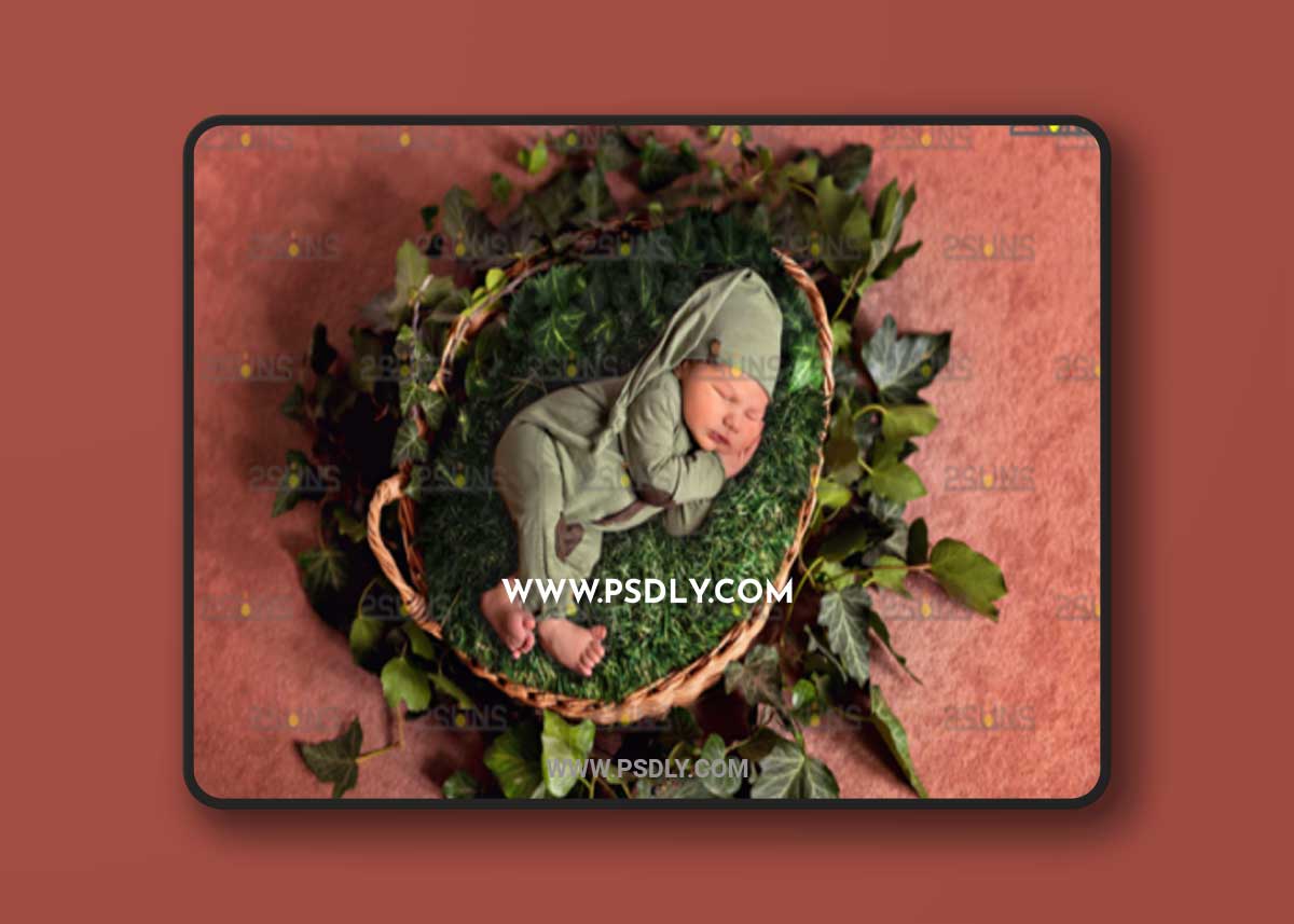 Baby Floral Backdrop, Photoshop Overlay