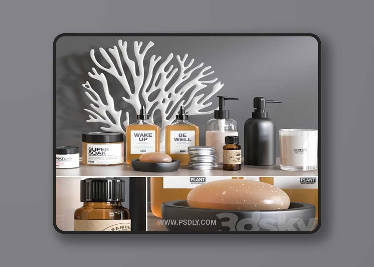 Bathroom Accessories 10 3D Model