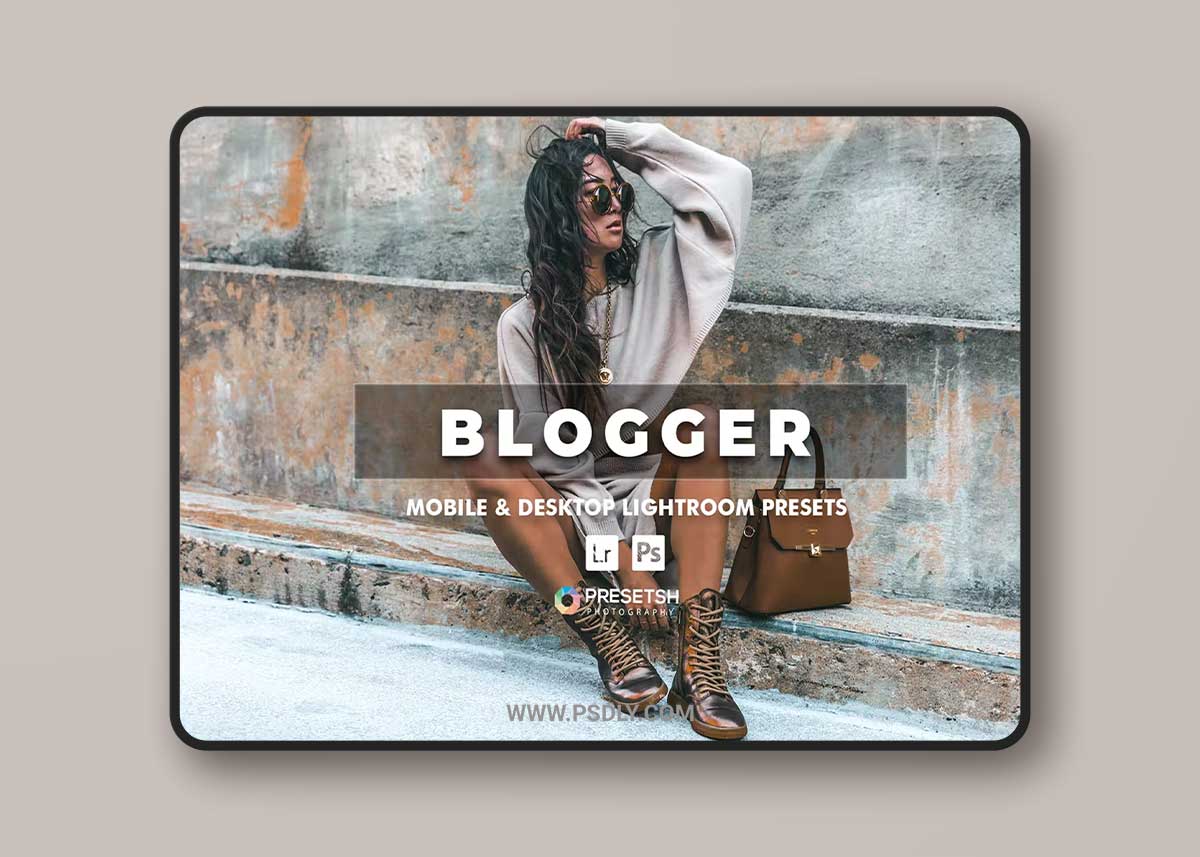 Blogger Lightroom Presets