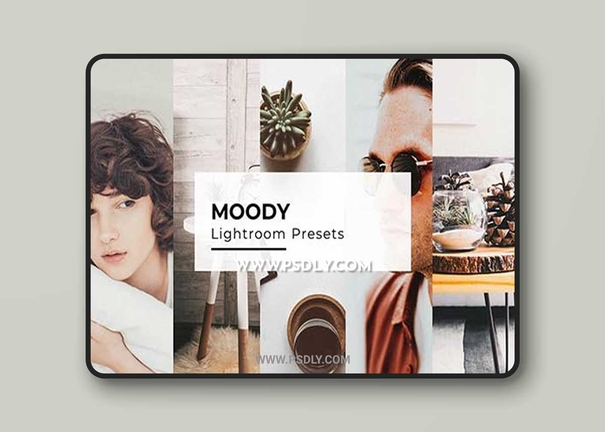 CreativeMarket - 10+ Moody Lightroom Presets 6902805